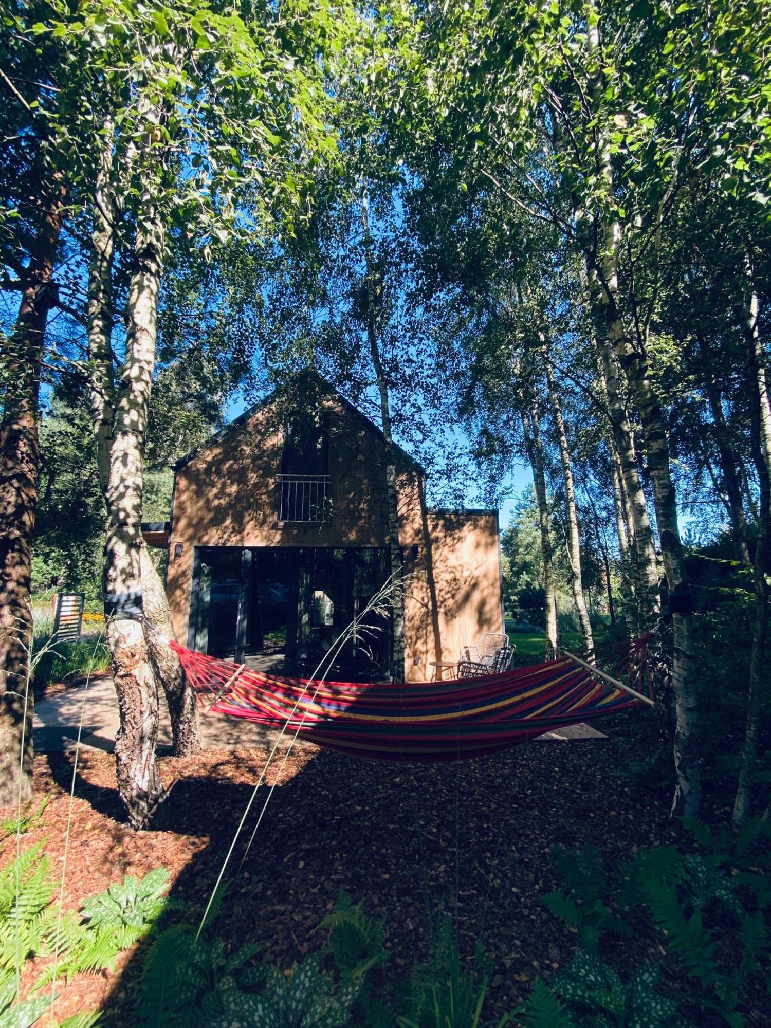 Miedzy Brzozami / Domy W Lesie Ciekocino Exteriér fotografie